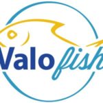 valofish.jpg